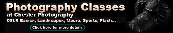 Photo Classes at Chesler Photography