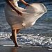 Trash the Dress photo gallery image