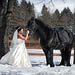 Trash the Dress photo gallery image