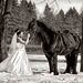 Trash the Dress photo gallery image