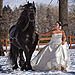Trash the Dress photo gallery image
