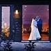 Winter wedding gallery photo by Chesler Photography