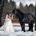 Winter wedding gallery photo by Chesler Photography
