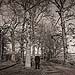 Winter wedding gallery photo by Chesler Photography