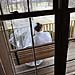 Winter wedding gallery photo by Chesler Photography