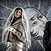 Winter wedding gallery photo by Chesler Photography