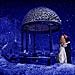 Winter wedding gallery photo by Chesler Photography